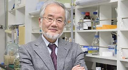 Το Νόμπελ Ιατρικής στον άνθρωπο που απέδειξε πως είναι καλό να... τρώμε τον εαυτό μας!