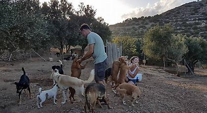 Με πρόστιμο 100.000 και κλείσιμο κινδυνεύει το καταφύγιο με τα αδέσποτα στην Ιεράπετρα