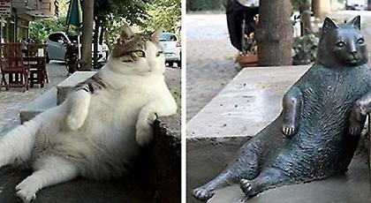 Στην Κωνσταντινούπολη έκαναν άγαλμα την αγαπημένη γάτα της γειτονιάς (pic/video)