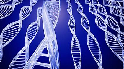 Έλληνες επιστήμονες πίσω από γονιδιακή θεραπεία για το Αλτσχάιμερ