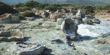 Απολιθωμένο δάσος στην Ροδόπη