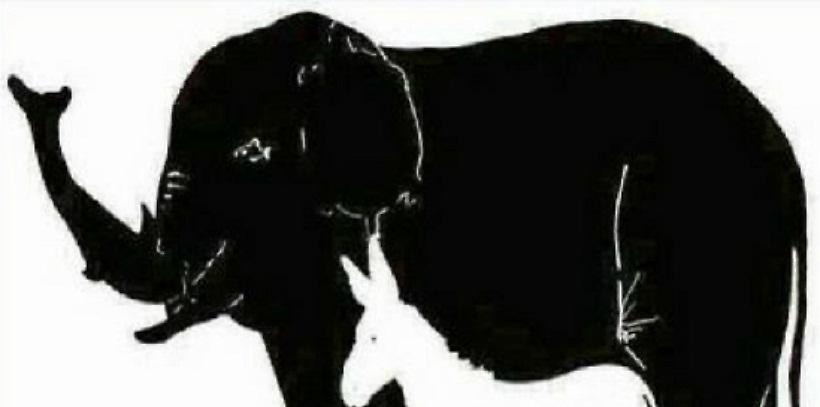 Νέο απίθανο κουίζ που έγινε viral: Μπορείς να βρεις πόσα ζώα κρύβονται στην εικόνα;