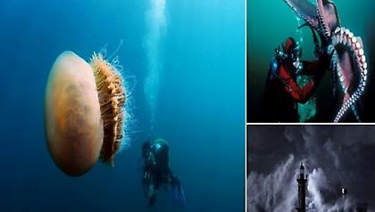 Βαθιά, άγρια νερά με σκοτεινά μυστικά: Τρομακτικές εικόνες από τους ωκεανούς