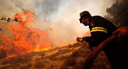 «Στάχτη» 302.000 στρέμματα βλάστησης αυτό το καλοκαίρι