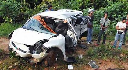 Σέρρες: Αυτοκίνητο της αστυνομίας «θέρισε» κοπάδι αγριόχοιρων