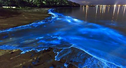 Η πανέμορφη παραλία στις Μαλδίβες που φωσφορίζει τη νύχτα - Εντυπωσιακές φωτογραφίες