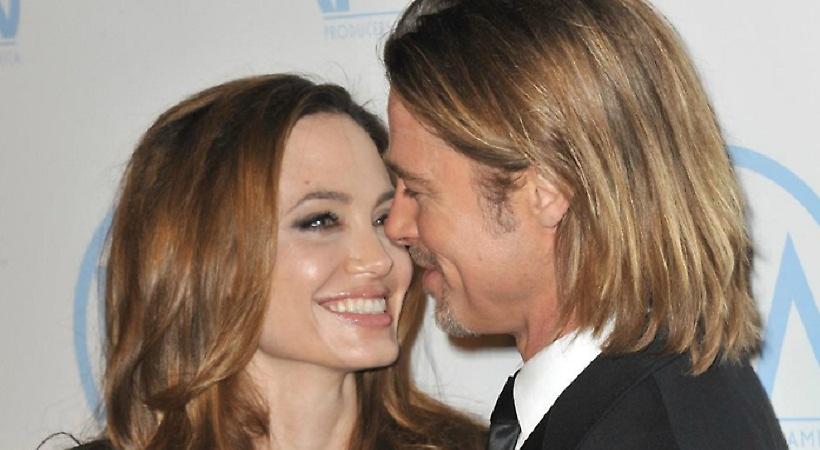 Η οικογένεια του Brad Pitt παίρνει θέση για το διαζύγιο! Δήλωση που βάζει τα πράγματα στη θέση τους