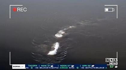 Βίντεο: Το τέρας του Λοχ Νες μετακόμισε στην Αλάσκα;