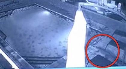 ΒΙΝΤΕΟ-ΣΟΚ: Επίθεση κροκόδειλου μέσα σε πισίνα!