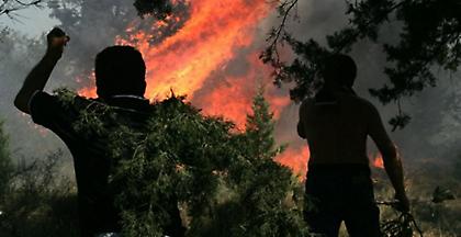 Φωτιά στον Άγιο Γεώργιο Κύμης