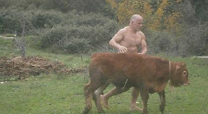 «Δεν κακοποιήθηκε κανένα ζώο, ντοκιμαντέρ γυρίζαμε»