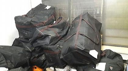 Θεσπρωτία: Σε εξέλιξη έρευνες για τον εντοπισμό αγνώστου που πυροβόλησε κατά αστυνομικών