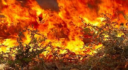 Ισχυρή πυρκαγιά στη Νάξο!