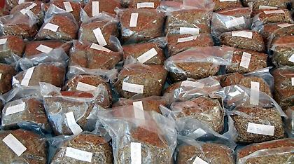 Ηλεία: Έκρυβε στο σπίτι του οκτώ κιλά λαθραίου καπνού