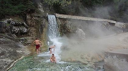 Άγριο ξύλο στα λουτρά των Θερμοπυλών