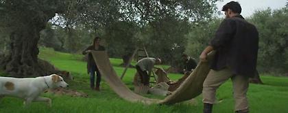 Ελληνικά προϊόντα στο εξωτερικό με επιδότηση