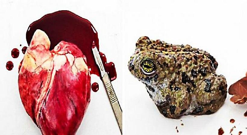 Δεν είναι αυτό που νομίζεις: Μπορείς να μαντέψεις τι ακριβώς δείχνουν οι εικόνες;