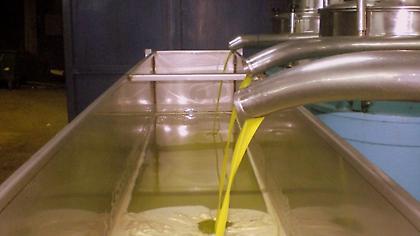 Κρήτη: Σταμάτησε να δει το Ελλάδα-Βοσνία και... έχασε το λάδι της χρονιάς