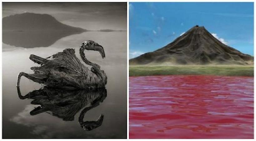 Συγκλονιστικές εικόνες από την «λίμνη του θανάτου»: Ό,τι την ακουμπάει... πεθαίνει! (pics)