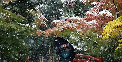 Φθινοπωρινό χιόνι στο Τόκιο μετά από 54 χρόνια!