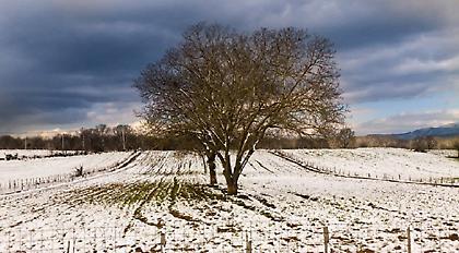Έρχονται ραγδαία πτώση της θερμοκρασίας και χιόνια