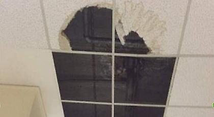 Άθλιες συνθήκες στα δικαστήρια της Ευελπίδων - Ποντίκια και κατσαρίδες πάνω σε δικογραφίες