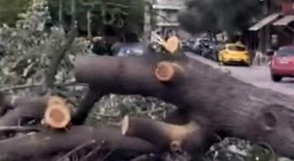 Ο αέρας ξερίζωσε δέντρο στην Ευελπίδων - Από θαύμα σώθηκε οδηγός μοτοσυκλέτας