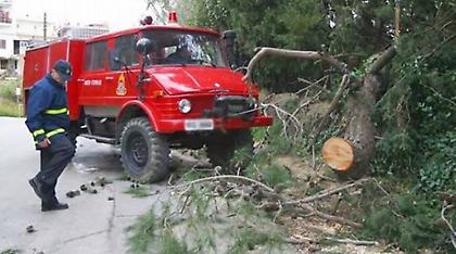 Ισχυροί άνεμοι πληττούν την Αττική - 105 κλήσεις στην Πυροσβεστική για κοπές δέντρων