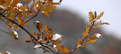 Πτώση θερμοκρασίας την Πέμπτη-Πού θα έχει παγετό