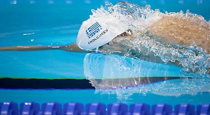 Εκτός τελικού Γκολομέεφ, Βαζαίος