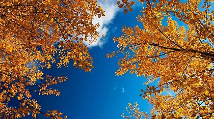 Ανεβαίνει η θερμοκρασία - «Άνοιξη» θα θυμίζει το Σαββατοκύριακο (video)