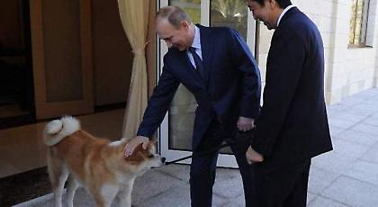 Ο Πούτιν δεν δέχθηκε τετράποδο δώρο της Ιαπωνίας -Αρνήθηκε να πάρει τον σκύλο που του χάριζαν