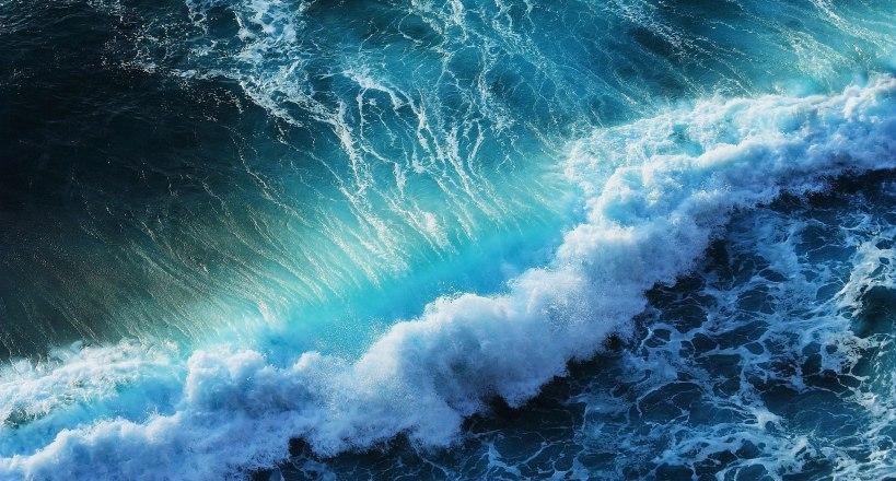 Άγνωστο μεγάλο αντικείμενο ξεβράστηκε σε παραλία! (pic)