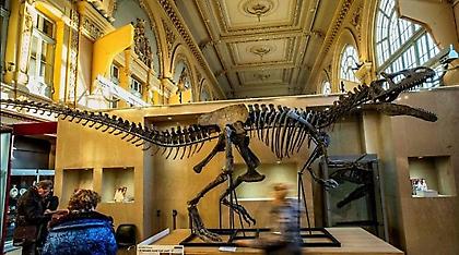 Σκελετός δεινοσαύρου πουλήθηκε σε δημοπρασία για 1,1 εκατ. ευρώ!