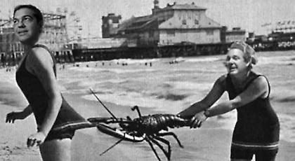 Σποτάκι της ΚΝΕ για το «μπούλης» του Τσίπρα: Στα νησιά ξεκινάνε οι μεγάλες αγάπες (video)