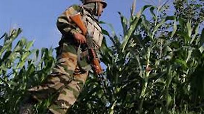 Τρεις στρατιώτες νεκροί, από ενέδρα ενόπλων στην αμφισβητούμενη περιοχή του Κασμίρ