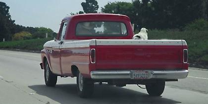 Τα φορτηγά ΙΧ αγροτικά έχουν το μεγαλύτερο δείκτη ζημιών