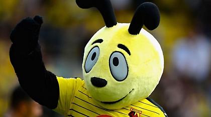 Ζητά τιμωρία της... μασκότ ο Άλαρνταϊς! (vid)