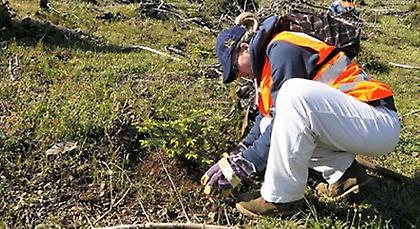 «Όλοι Μαζί Μπορούμε» και στο περιβάλλον