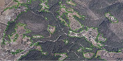 Αναρτήθηκαν οι νέοι δασικοί χάρτες ανά την Επικράτεια