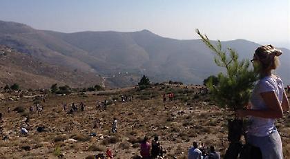Αναδάσωση στην Πεντέλη
