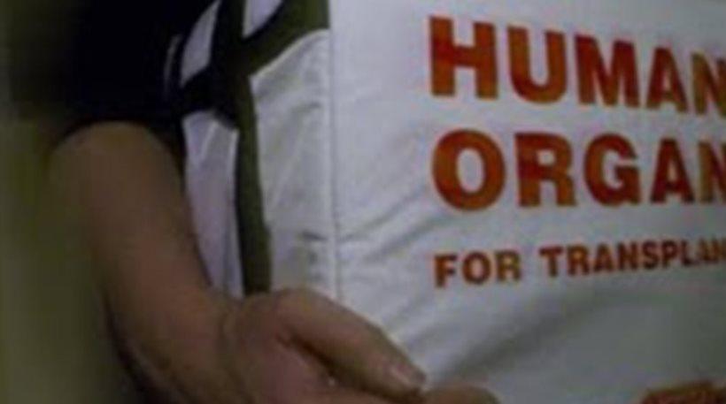 Μεγαλείο ψυχής: «Αγγελούδι» δύο ετών έδωσε ζωή σε τέσσερα παιδιά