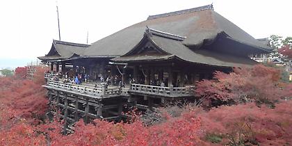 Η Ιαπωνία των χρωμάτων της φύσης (pics)