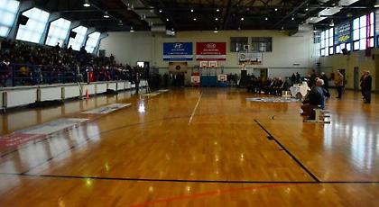 Έκοψε της πίτα της η Ένωση Ιλίου