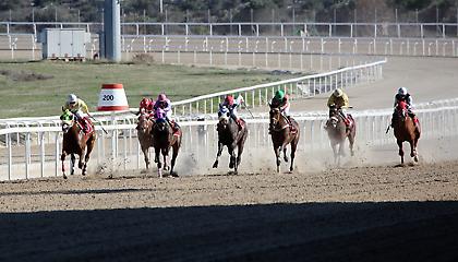 Μεγάλες αποδόσεις και ΤΖΑΚΠΟΤ το προηγούμενο Σάββατο στις Ιπποδρομίες στο Μαρκόπουλο!