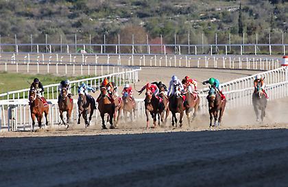 O ίππος ΣΙΛΑΣ ΤΡΗΤ έφτιαξε τη δική του ιστορία στο Μαρκόπουλο