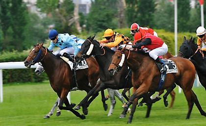 Σήμερα θα διεκδικήσουμε χρήματα στο ιπποδρομιακό στοίχημα  από τον ιππόδρομο MAISONS LAFFITTE!