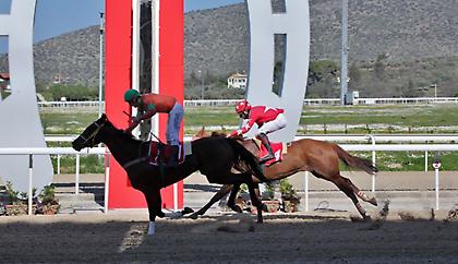 Σε όλες τις ιπποδρομίες σήμερα στο Μαρκόπουλο απουσιάζουν τα φαβορί και αναμένονται υψηλές απoδόσεις