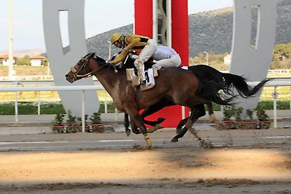 Το ΚΥΠΕΛΛΟ ΗΝΙΟΧΟΥ στο Μαρκόπουλο συναγωνίζεται σε αγωνία τον ποδοσφαιρικό τελικό!