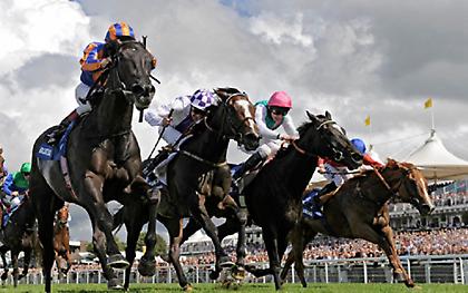 Δεν γίνεται ο ιππόδρομος YORK να έχουν έπαθλα ακόμα και τα 220.000 ευρώ και εμείς να μείνουμε εκτός